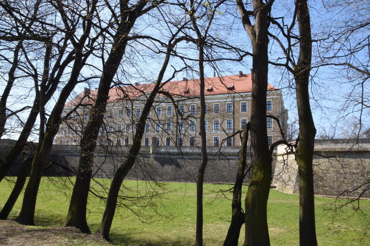 Apartament Nad Fontanna ジェシュフ エクステリア 写真