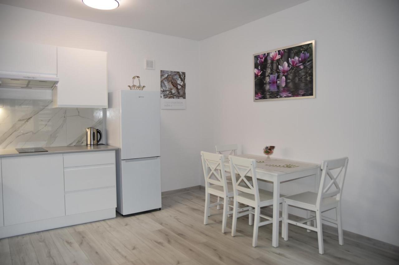 Apartament Nad Fontanna ジェシュフ エクステリア 写真
