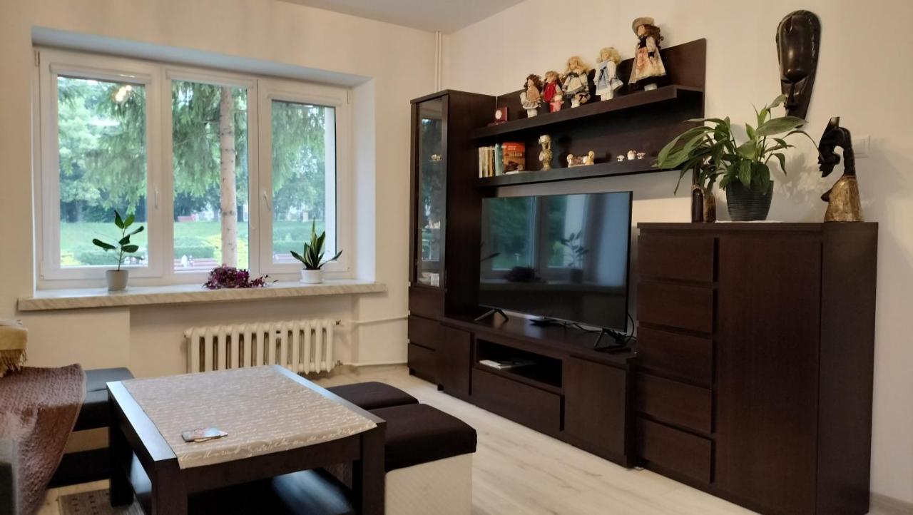 Apartament Nad Fontanna ジェシュフ エクステリア 写真
