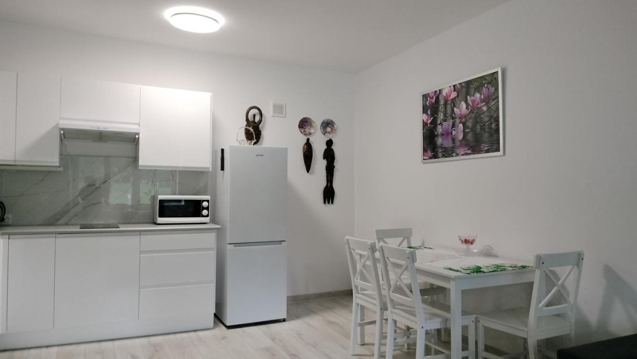 Apartament Nad Fontanna ジェシュフ エクステリア 写真