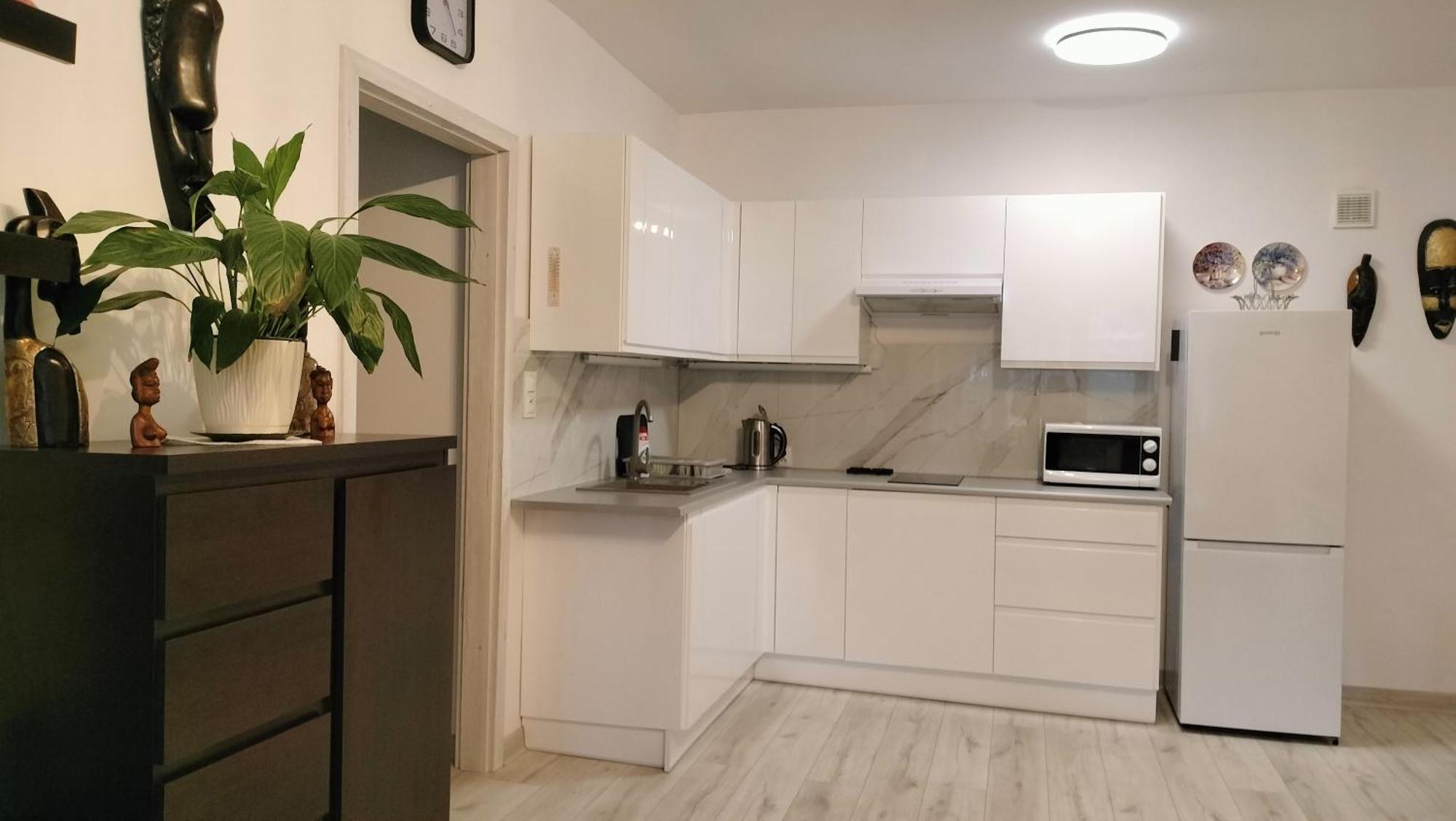Apartament Nad Fontanna ジェシュフ エクステリア 写真