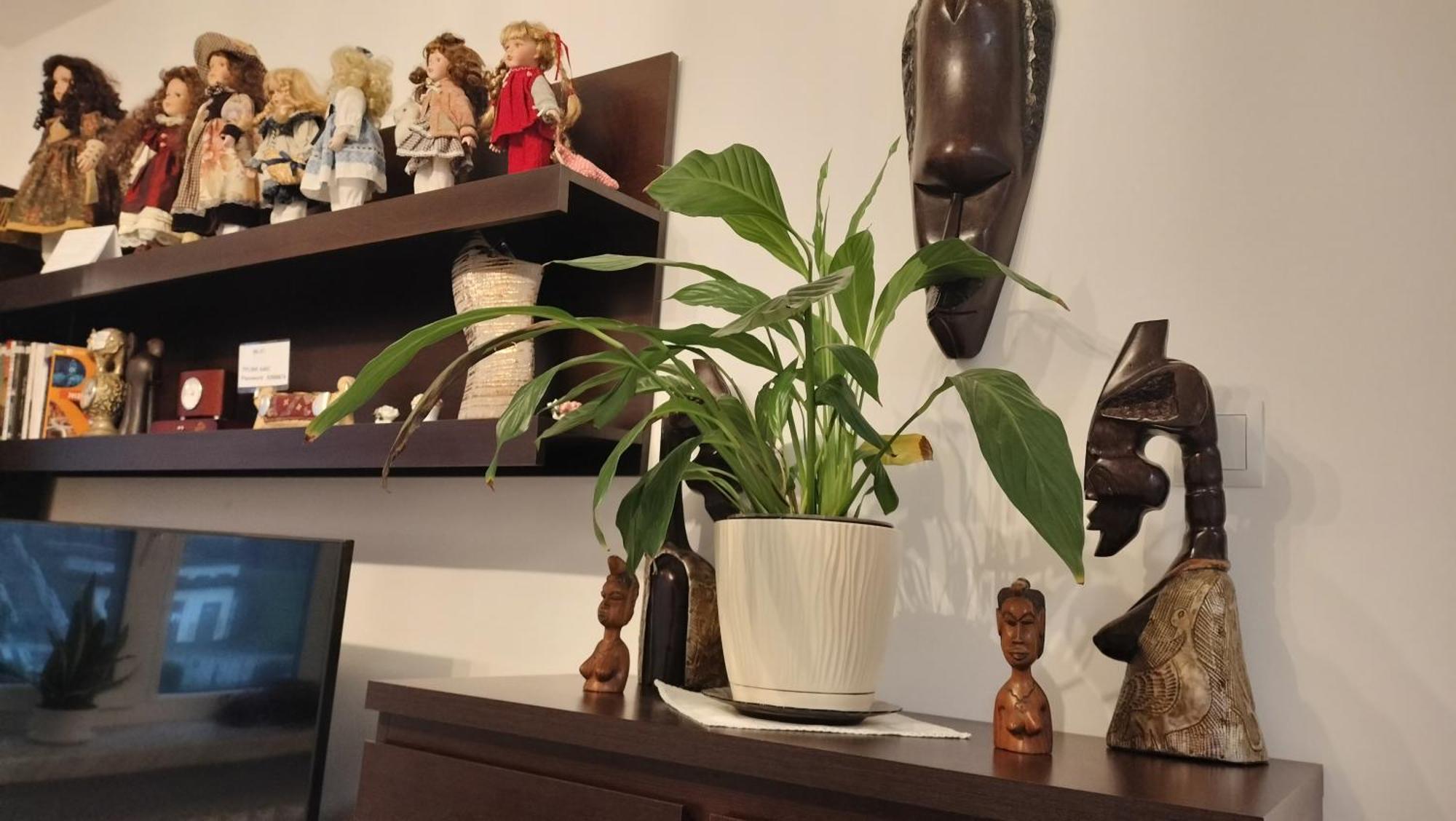 Apartament Nad Fontanna ジェシュフ 部屋 写真